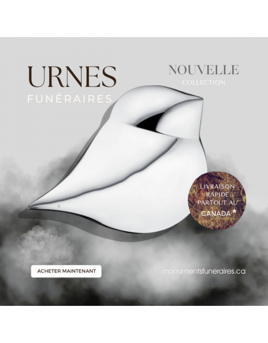 Oiseau de l'âme Argent Mâle